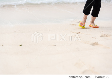 一個海灘 15880329