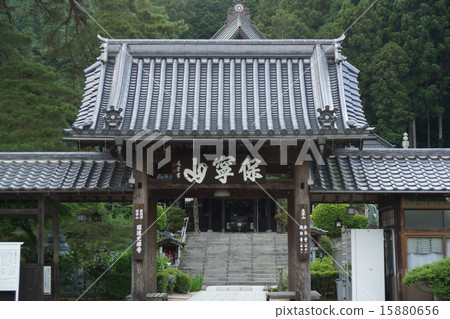 Fresh green in early summer and Rurikoji Tower gate Fresh green in early summer and Rurikoji Tower gate 15880656