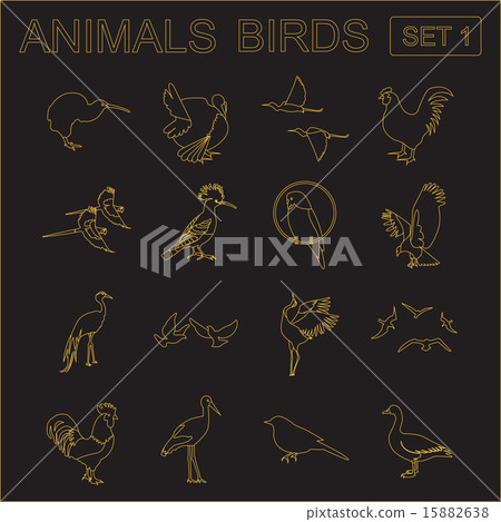 Birds icon set. Vector flat style - Stock Illustration [15882638] - PIXTA