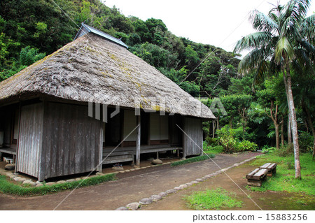 八丈島八丈町的Kaya難民 八丈島八丈町的Kaya難民 15883256