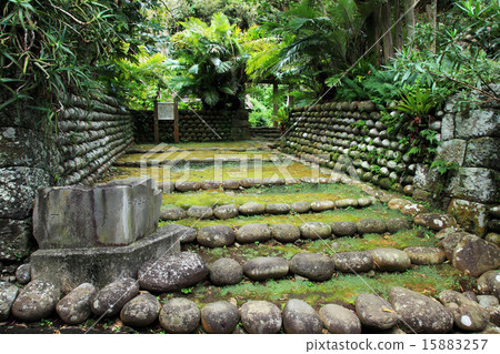 Hachijo Island Hachijo Town Furusato village stone wall Hachijo Island Hachijo Town Furusato village stone wall 15883257