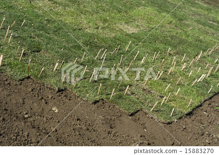 Lawn tidal construction of a park bank 15883270