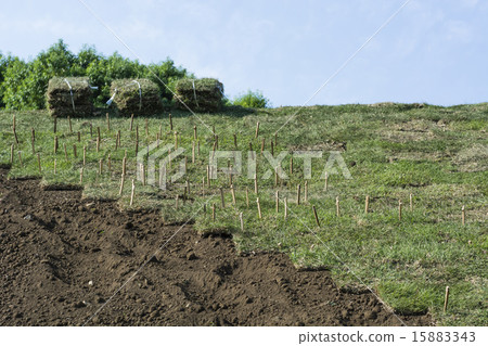 Lawn tidal construction of a park bank 15883343