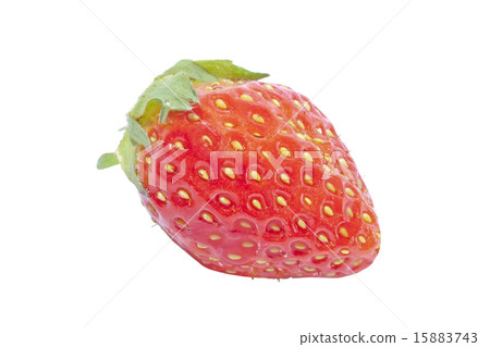 strafbery_11 strafbery_11 15883743