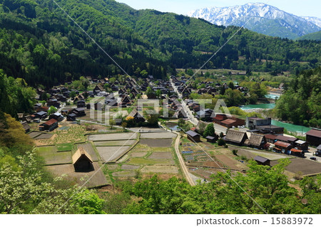 春川白川鎮 春川白川鎮 15883972