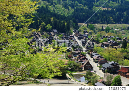 Spring Shirakawa Town Spring Shirakawa Town 15883975