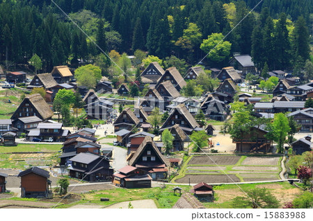 Spring Shirakawa Town 15883988