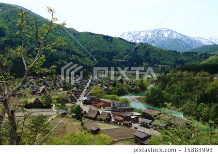 Spring Shirakawa Town Spring Shirakawa Town 15883993