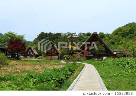 Spring Shirakawa Town Spring Shirakawa Town 15883998