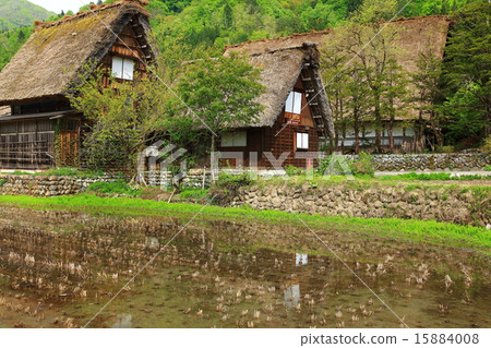 春川白川鎮 春川白川鎮 15884008