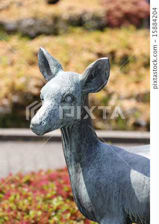 天王寺公園 天王寺公園 15884204