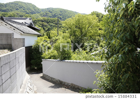 小野河山村 15884331