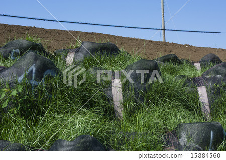 植被沙袋的建設 15884560