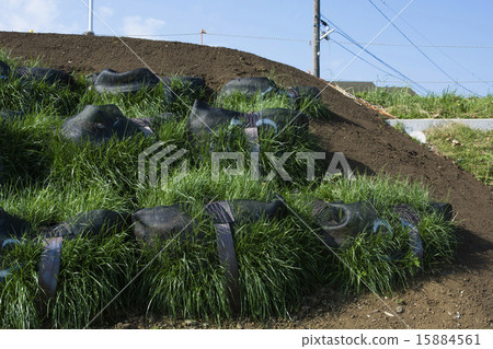 植被沙袋的建設 植被沙袋的建設 15884561