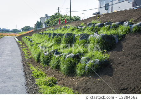 植被沙袋的建設 植被沙袋的建設 15884562