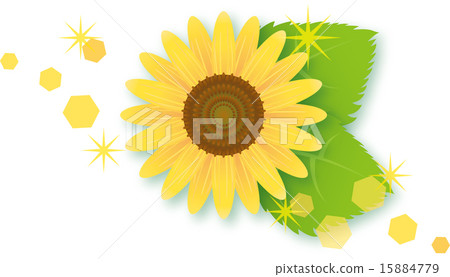 向日葵的夏天 15884779