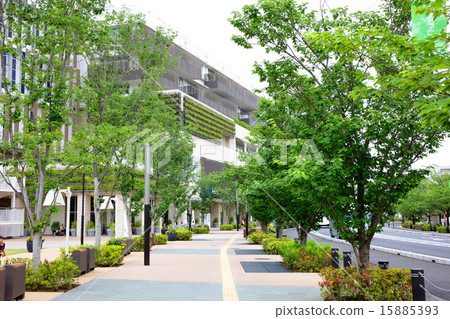 Kashiwaneha葉子街道風景 15885393