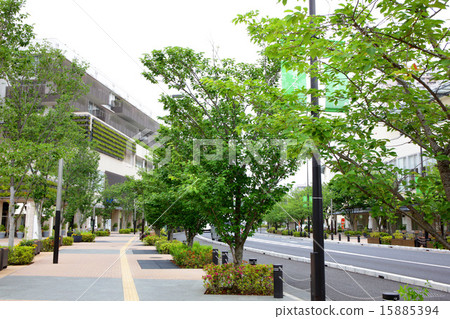 Kashiwanoha葉子街景 15885394