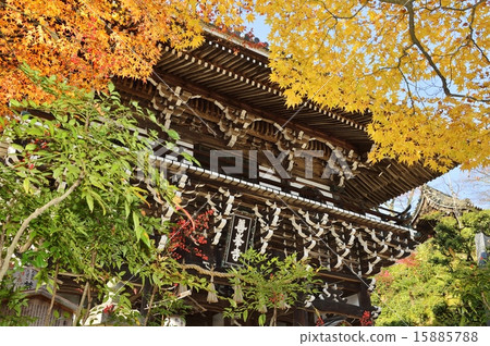 Zenzinji autumn 15885788