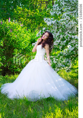 Bride on the background of blooming apple trees Bride on the background of blooming apple trees 15886086