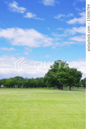 Kumamoto Castle Park 15886764