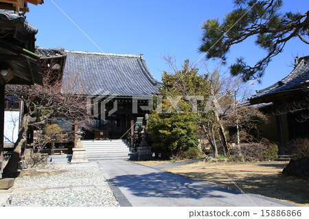 Lotus Temple in Gyoda City 15886866