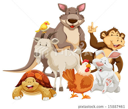 Animals Animals 15887461