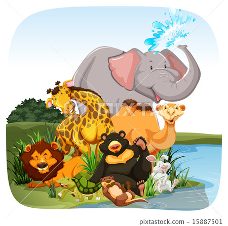 Animals Animals 15887501