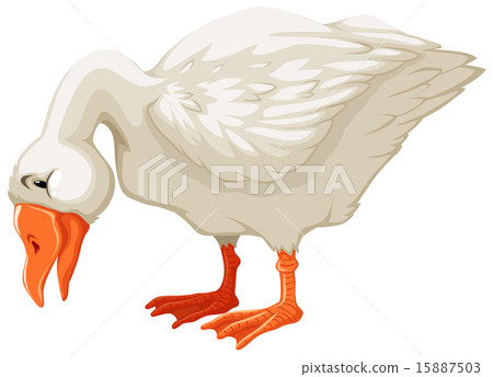 Goose 15887503