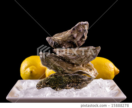 Four oyster shell on ice with lemon, balance stack Four oyster shell on ice with lemon, balance stack 15888278