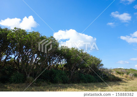 Scenery of Hateruma Island, Okinawa Prefecture Scenery of Hateruma Island, Okinawa Prefecture 15888382
