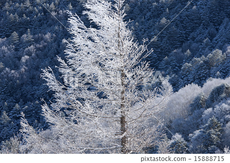 First snow of the plateau 15888715