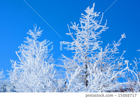 First snow of the plateau First snow of the plateau 15888717