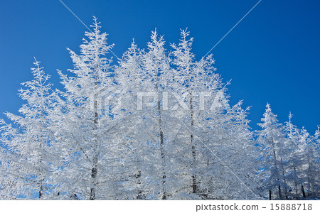 First snow of the plateau First snow of the plateau 15888718