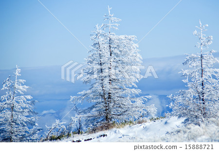 First snow of the plateau 15888721