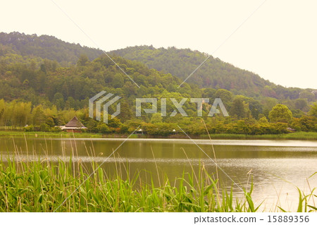 Kyoto Hirosawa pond 15889356