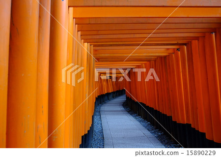 Rows of torii gates Rows of torii gates 15890229