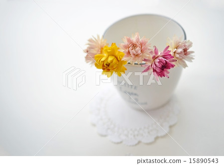 Dry Flower Emperor Shellwork Dry Flower Emperor Shellwork 15890543