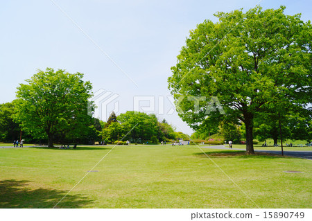 Showa Memorial Park Friendship square Showa Memorial Park Friendship square 15890749