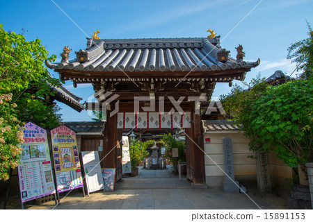 Oshusa Kannon Oshusa Kannon 15891153