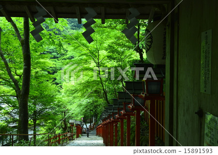 Early summer 2015 Early summer 2015 15891593