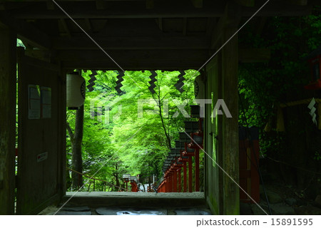 Early summer 2015 Early summer 2015 15891595