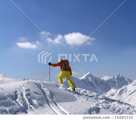 Extreme skier 15893310