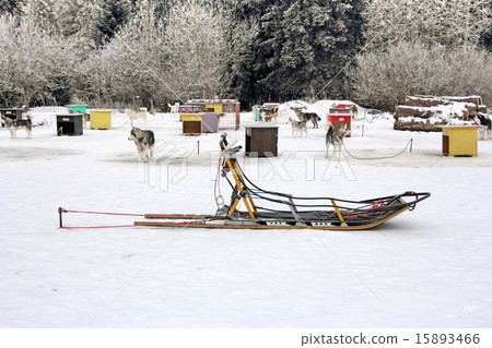 Sled dog team5 15893466