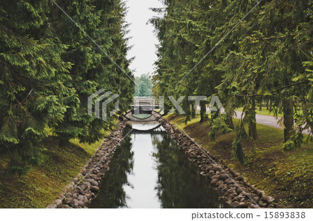 Catherine Park in Tsarskoye Selo 1050. 15893838