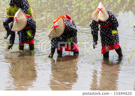 Flower planting 15894820