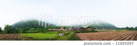 panorama farm strawberry panorama farm strawberry 15895897