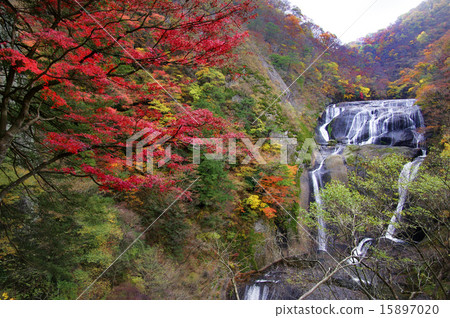 Fukuroda Falls and autumn leaves 15897020