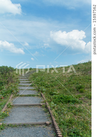 Aomori prefecture Hachinohe City national park Species coastal scenery Aomori prefecture Hachinohe City national park Species coastal scenery 15897562