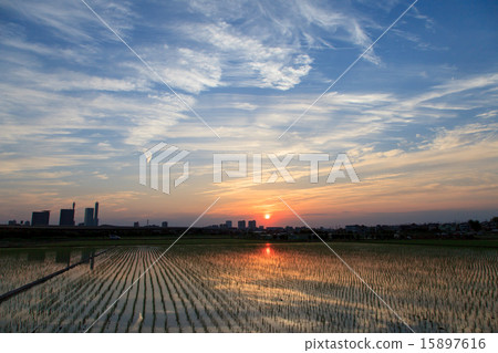 礦井Numata稻田的晚上風景 礦井Numata稻田的晚上風景 15897616